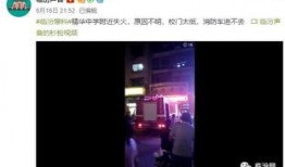 凌华爆料视频在哪看,揭秘事件真相